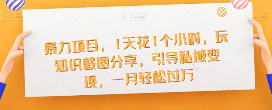 暴力项目，1天花1个小时，玩知识截图分享，引导私域变现，一月轻松过万【截图】-八号资源库