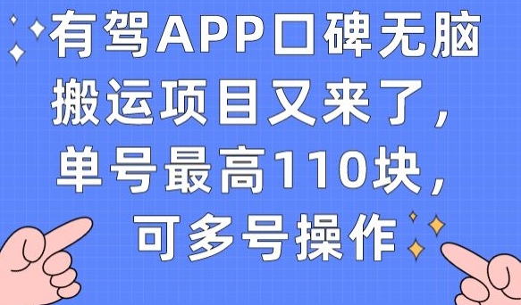 有驾APP口碑无脑搬运项目又来了，单号最高110块，可多号操作-八号资源库