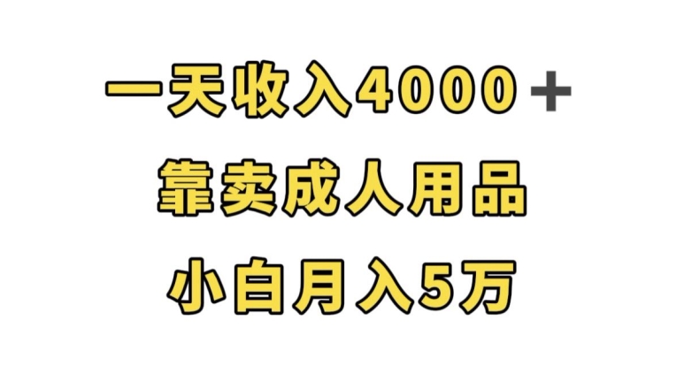 一天收入4000+，靠卖成人用品，小白轻松月入5万【揭秘】-八号资源库