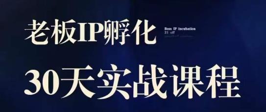 诸葛·2023老板IP实战课，实体同城引流获客，IP孵化必听-八号资源库