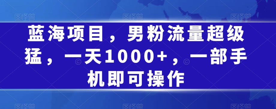 蓝海项目，男粉流量超级猛，一天1000+，一部手机即可操作【揭秘】-八号资源库
