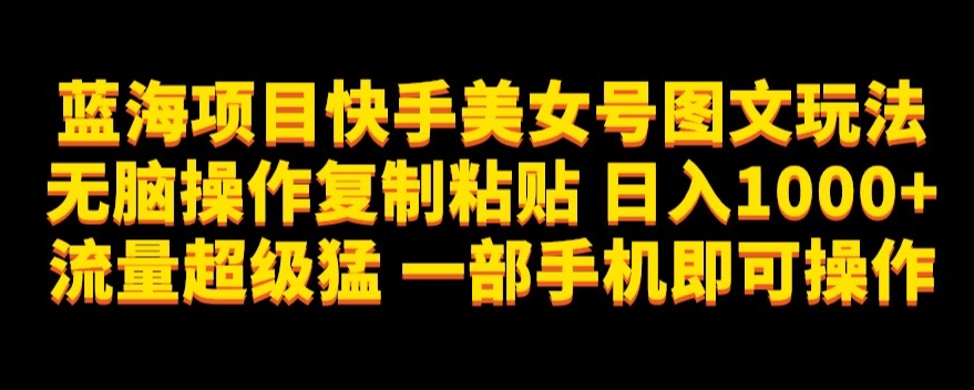 蓝海项目快手美女号图文玩法，无脑操作复制粘贴，日入1000+流量超级猛一部手机即可操作【揭秘】-八号资源库