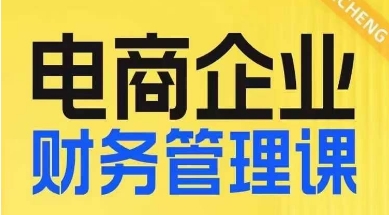 电商企业财务管理线上课，为电商企业规划财税-八号资源库