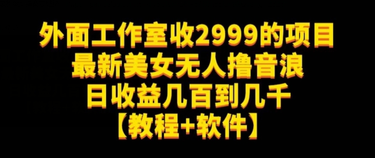 外面工作室收2999的项目最新美女无人撸音浪日收益几百到几千【教程+软件】（仅揭秘）-八号资源库