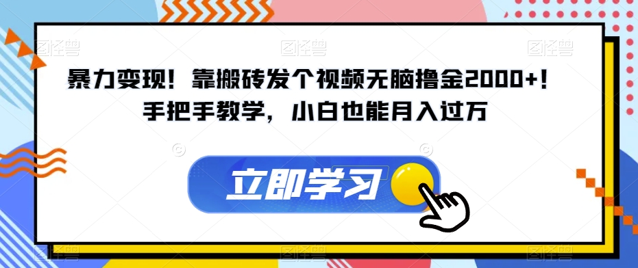 暴力变现！靠搬砖发个视频无脑撸金2000+！手把手教学，小白也能月入过万【揭秘】-八号资源库