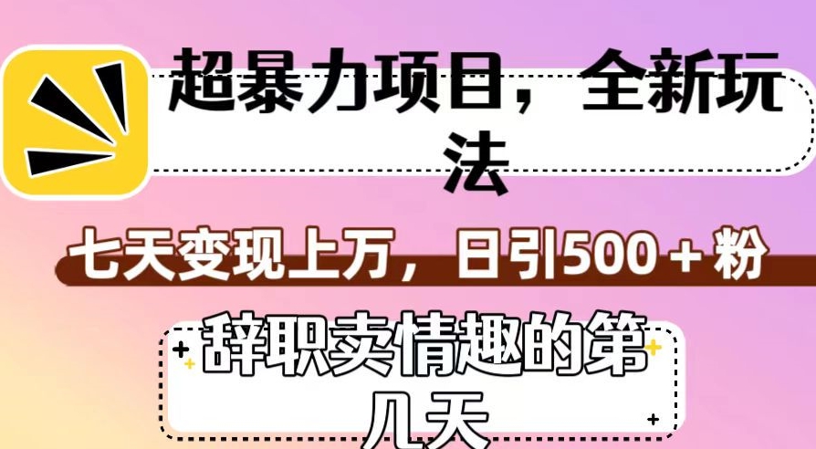超暴利项目，全新玩法（辞职卖情趣的第几天），七天变现上万，日引500+粉【揭秘】-八号资源库