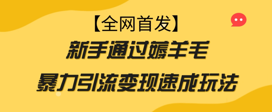 【全网首发】新手通过薅羊毛暴力引流变现速成玩法-八号资源库