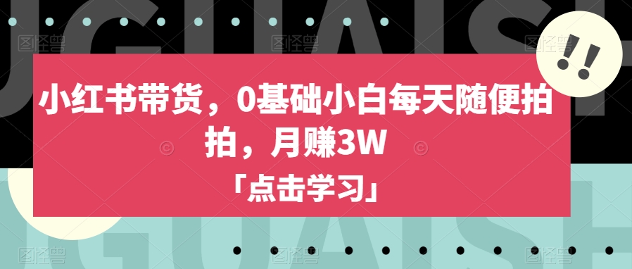小红书带货，0基础小白每天随便拍拍，月赚3W【揭秘】-八号资源库