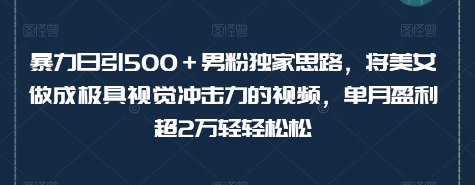暴力日引500＋男粉独家思路，将美女做成极具视觉冲击力的视频，单月盈利超2万轻轻松松-八号资源库