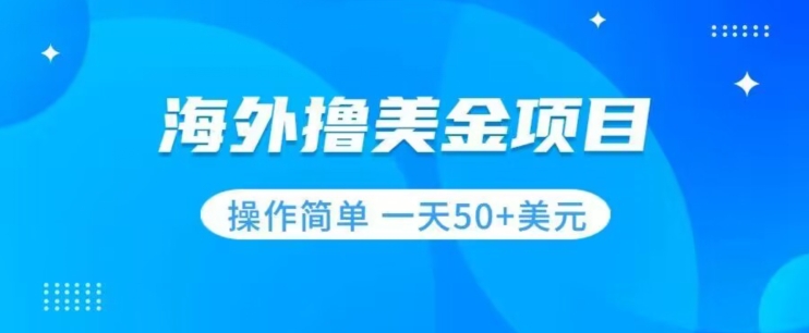 撸美金项目无门槛操作简单小白一天50+美刀-八号资源库