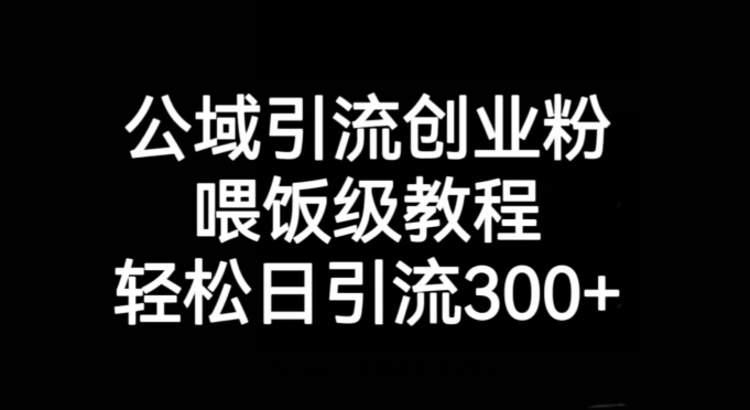 公域引流创业粉，喂饭级教程，轻松日引流300+【揭秘】-八号资源库
