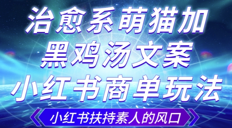 治愈系萌猫加+黑鸡汤文案，小红书商单玩法，3~10天涨到1000粉，一单200左右-八号资源库