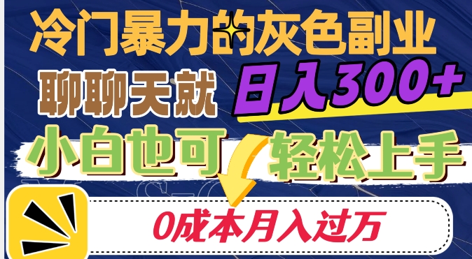 冷门暴利的副业项目，聊聊天就能日入300+，0成本月入过万【揭秘】-八号资源库