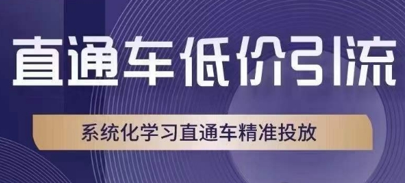 直通车低价引流课，系统化学习直通车精准投放-八号资源库