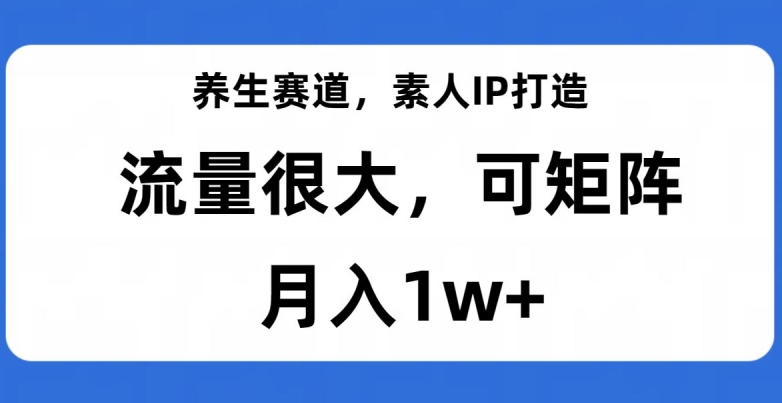 养生赛道，素人IP打造，流量很大，可矩阵，月入1w+【揭秘】-八号资源库