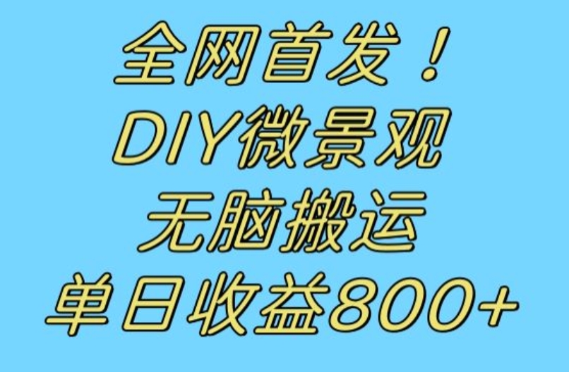 全网首发冷门赛道！DIY微景观，无脑搬运视频，日收益800+【揭秘】-八号资源库