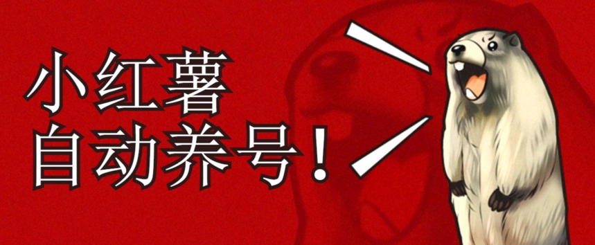 小红书养号秘籍，如何自动涨粉清晰系统标签打造高权重账号【揭秘】-八号资源库