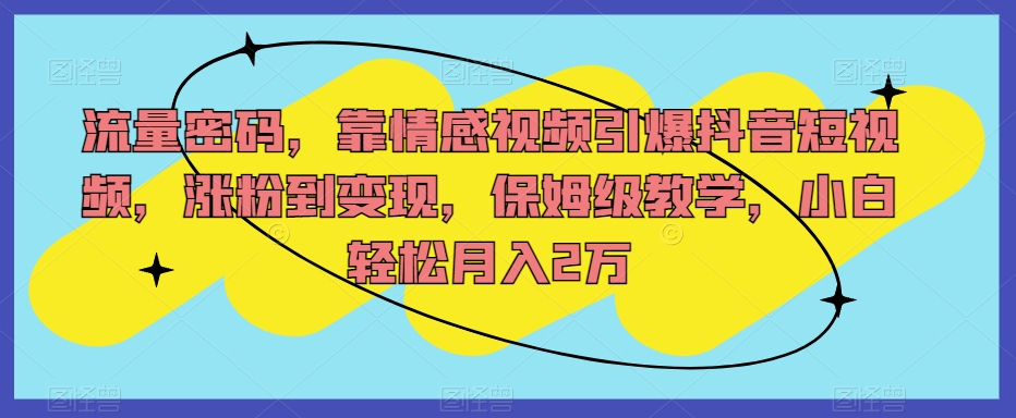 流量密码，靠情感视频引爆抖音短视频，涨粉到变现，保姆级教学，小白轻松月入2万【揭秘】-八号资源库