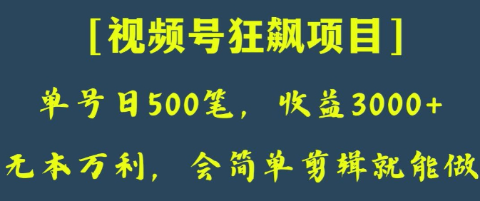 日收款500笔，纯利润3000+，视频号狂飙项目，会简单剪辑就能做【揭秘】-八号资源库