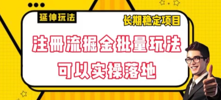 注册流掘金批量玩法，可以实操落地【揭秘】-八号资源库