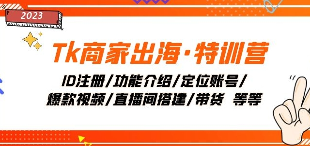Tk商家出海·特训营：ID注册/功能介绍/定位账号/爆款视频/直播间搭建/带货-八号资源库