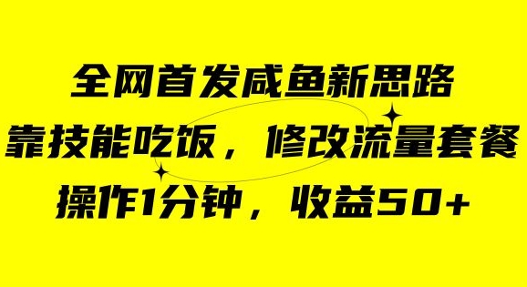 咸鱼冷门新玩法，靠“技能吃饭”，修改流量套餐，操作1分钟，收益50【揭秘】-八号资源库