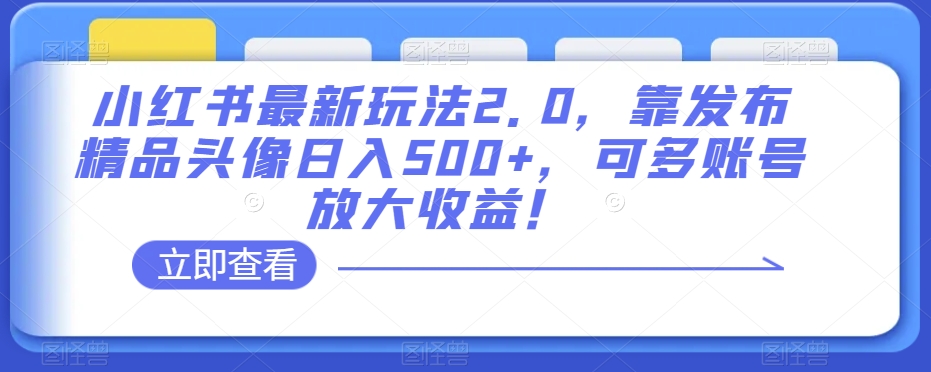 小红书最新玩法2.0，靠发布精品头像日入500+，可多账号放大收益！【揭秘】-八号资源库