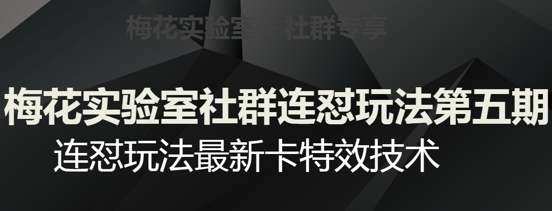 梅花实验室社群连怼玩法第五期，视频号连怼玩法最新卡特效技术-八号资源库