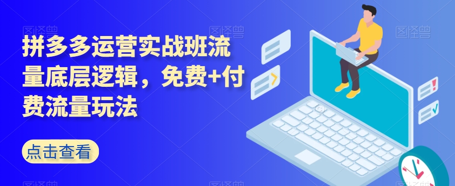 拼多多运营实战班流量底层逻辑，免费+付费流量玩法-八号资源库