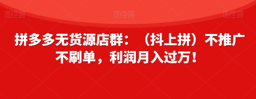 拼多多无货源店群：（抖上拼）不推广不刷单，利润月入过万！【揭秘】-八号资源库