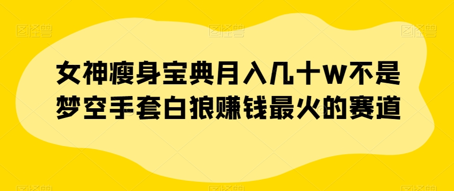 女神瘦身宝典月入几十W不是梦空手套白狼赚钱最火的赛道【揭秘】-八号资源库