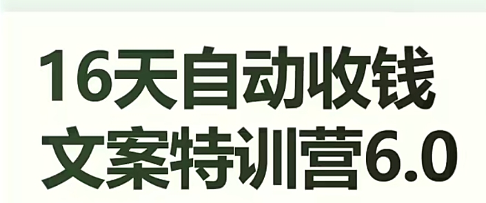 16天自动收钱文案特训营6.0，学会儿每天自动咔咔收钱-八号资源库