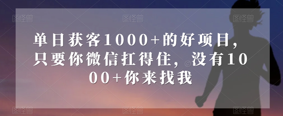单日获客1000+的好项目，只要你微信扛得住，没有1000+你来找我【揭秘】-八号资源库