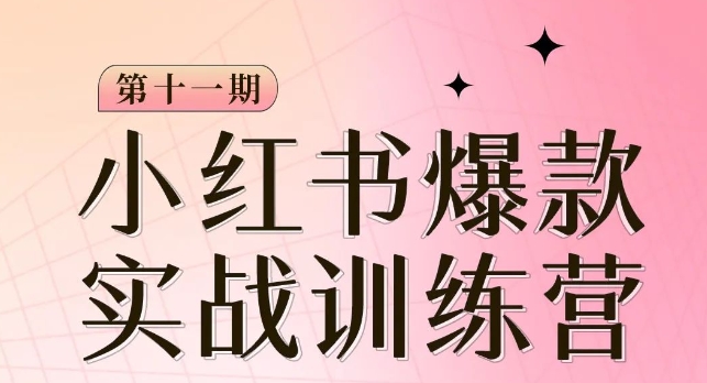 小红书博主爆款训练营第11期，手把手教你从0-1做小红书，从定位到起号到变现-八号资源库