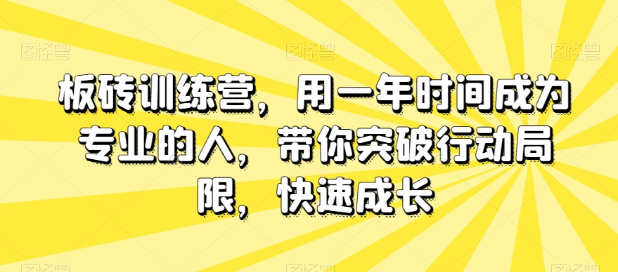 板砖训练营，用一年时间成为专业的人，带你突破行动局限，快速成长-八号资源库
