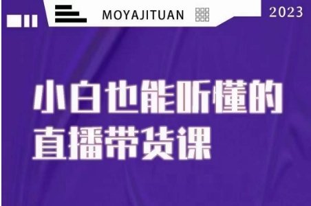 大威本威·能听懂的直播带货课，小白也能听懂，20节完整-八号资源库