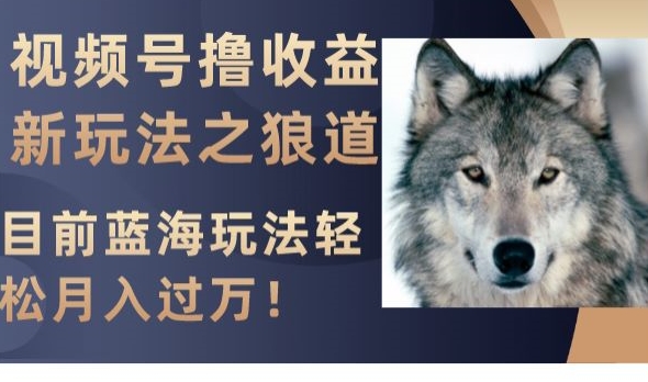 视频号撸收益新玩法之狼道，目前蓝海玩法，轻松月入过万【揭秘】-八号资源库