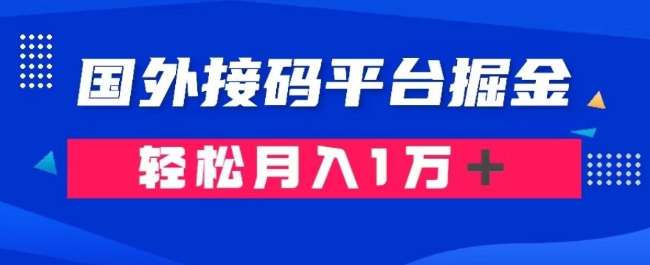 通过国外接码平台掘金：成本1.3，利润10＋，轻松月入1万＋【揭秘】-八号资源库