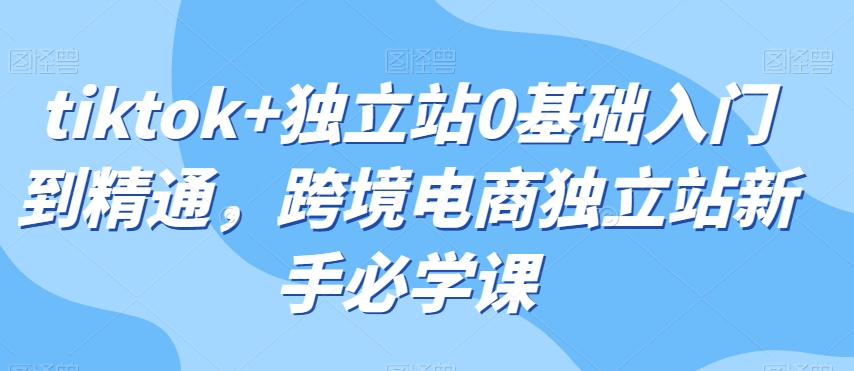 tiktok+独立站0基础入门到精通，跨境电商独立站新手必学课-八号资源库