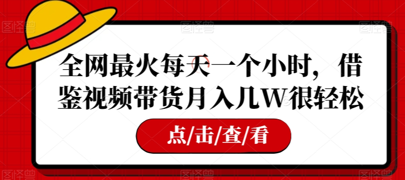 全网最火每天一个小时，借鉴视频带货月入几W很轻松【揭秘】-八号资源库