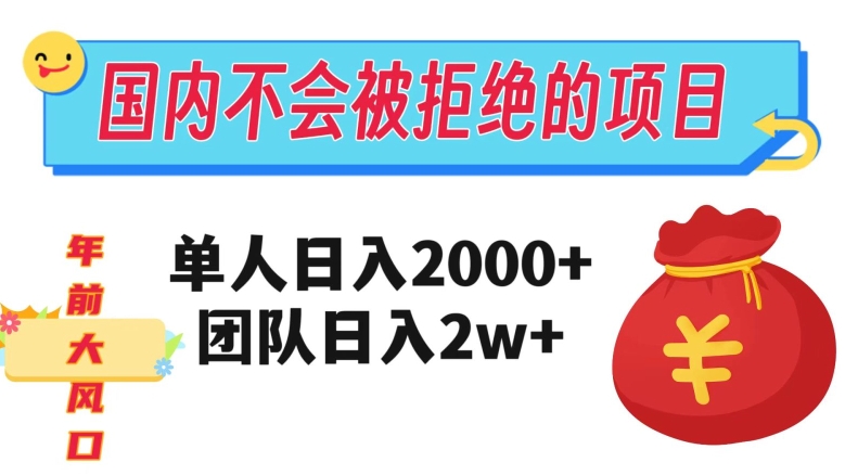 在国内不怕被拒绝的项目，单人日入2000，团队日入20000+【揭秘】-八号资源库