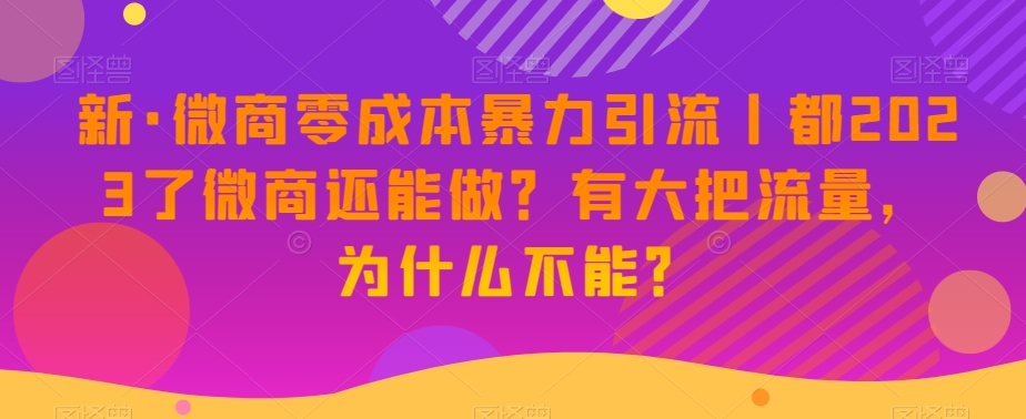 新·微商零成本暴力引流丨都2023了微商还能做？有大把流量，为什么不能？-八号资源库