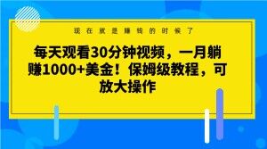 每天观看30分钟视频，一月躺赚1000+美金！保姆级教程，可放大操作【揭秘】-八号资源库
