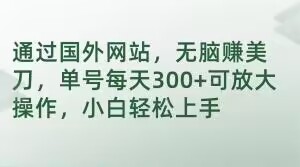 通过国外网站，无脑赚美刀，单号每天300+可放大操作，小白轻松上手【揭秘】-八号资源库