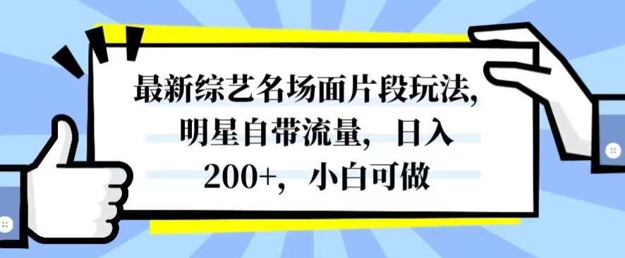 最新综艺名场面片段玩法，明星自带流量，日入200+，小白可做【揭秘】-八号资源库