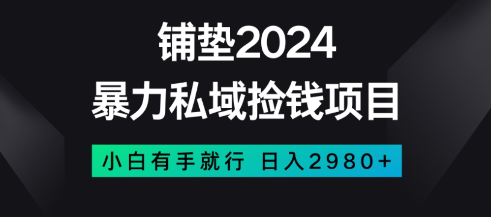 暴力私域捡钱项目，小白无脑操作，日入2980【揭秘】-八号资源库