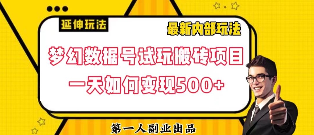 数据号回归玩法游戏试玩搬砖项目再创日入500+【揭秘】-八号资源库