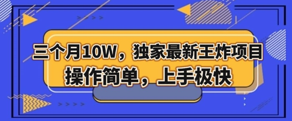 三个月10W，独家最新王炸项目！操作简单，上手极快【揭秘】-八号资源库