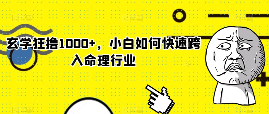玄学狂撸1000+，小白如何快速跨入命理行业【揭秘】-八号资源库