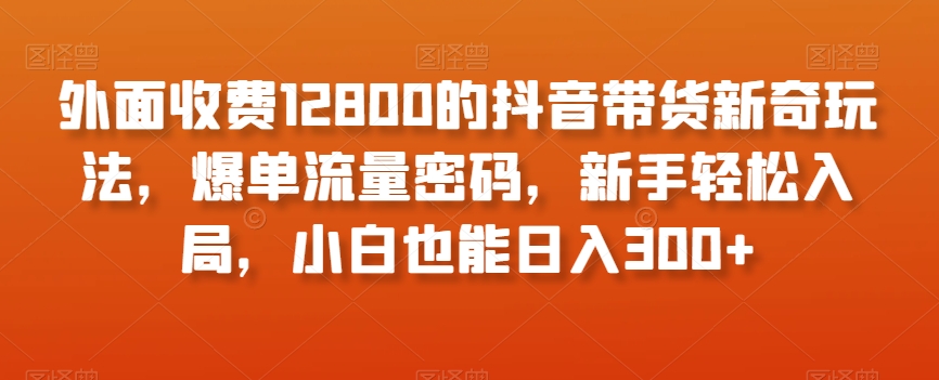 外面收费12800的抖音带货新奇玩法，爆单流量密码，新手轻松入局，小白也能日入300+【揭秘】-八号资源库